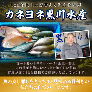 【0008-2】御坊産　鮮魚セット5kg【配送不可地域】沖縄・北海道・東北・九州