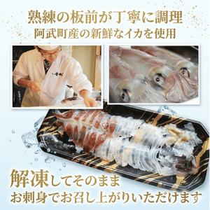 阿武町産 イカ 活きイカ 姿造り いか刺し 割烹千代 超瞬間冷凍 烏賊
