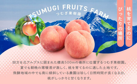 【数量限定/先行予約】≪定期便3回≫ 飛騨のたから桃 食べ比べ定期便4～8玉 糖度11度以上｜7月・8月・9月にお届け！ 桃 おまかせ 旬 果物 飛騨高山 厳選 産直 つむぎ果樹園 GH105