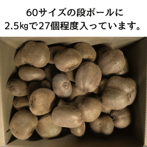 【先行予約】阿武町産 キウイ 訳ありヘイワード （２．５kg） 山口県産 国産 数量限定 フルーツ 家庭用