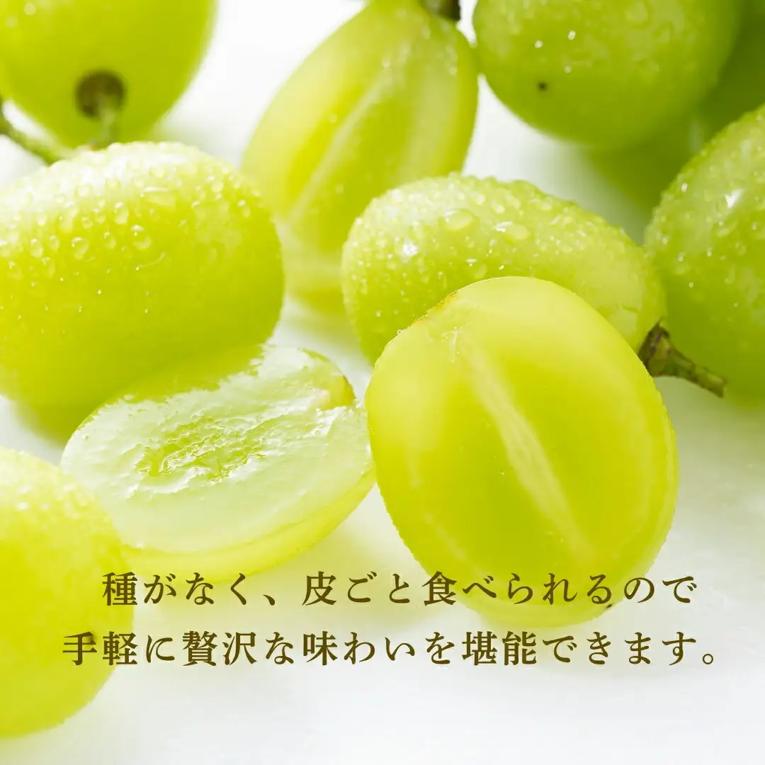 【2026年先行予約】朝採り シャインマスカット 約900g 2房 | シャインマスカット 千曲市 長野県産 信州
