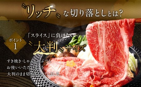 【2025年9月初登場】 佐賀牛 リッチな霜降り 大判 切り落とし 1kg （500g×2）／ 黒毛和牛 黒毛和種 和牛 牛肉 お肉 肉 霜降り 九州 福岡県 太宰府市 冷凍