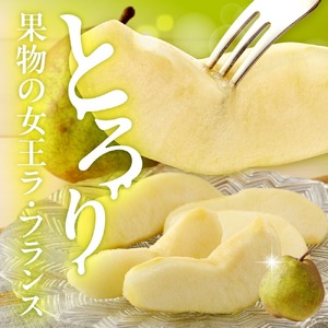 洋梨 ラ・フランス 3kg (7～11玉入り) フルーツ 果物 山形 08-10-037