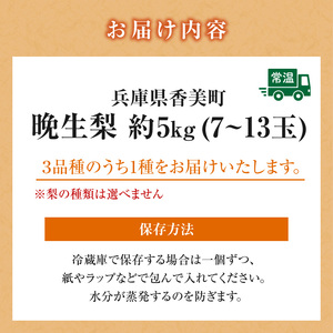 【2026年産】先行予約 梨 晩生梨 （ 新興梨 王秋梨 愛宕梨 のいずれか ） 5kg 7～13玉 【令和8年10月中旬以降発送予定】 フルーツ 果物  12-24