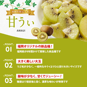 ＜先行予約受付中！2026年11月上旬～11月下旬に順次発送予定＞【化粧箱入り】福岡県ブランドキウイ 甘うぃ (約計1.4kg・大玉9玉) キウイ キウイフルーツ キュウイ あまうぃ フルーツ 生 国産 果物 くだもの 贈答用 【農産物直売所ほたるの里】as52-031