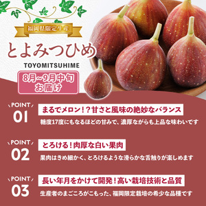 ＜定期便・年4回＞旬の福岡 フルーツ定期便(あまおう1kg/とよみつひめ1.2kg/早味かん3kg/甘うぃ3.6kg) いちご 苺 あまおう いちじく イチジク 無花果 みかん ミカン 蜜柑 キウイ あまうい 甘うい フルーツ 果物 定期便 頒布会【農産物直売所ほたるの里】as52-033