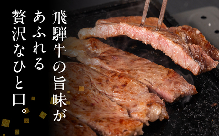 飛騨牛 サーロインステーキ 500g(250g×2)| ステーキ