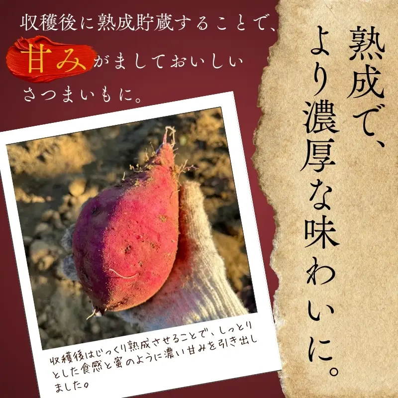 【2026年11月発送分先行予約！】紅はるか さつまいも 10kg