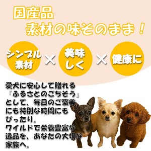 ドッグスナック詰め合わせBOX【小】【090-0002】