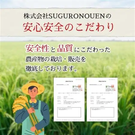 令和7年産　特別栽培米にじのきらめき 精米　10kg(5kg×2袋)【1697555】
