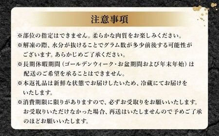 山形県 白鷹産 馬刺しブロック（生食用） 約2～3人前（約250g）馬刺し 馬肉 刺身 生肉 ブロック 新鮮 非冷凍 未凍結 高タンパク 低カロリー ヘルシー