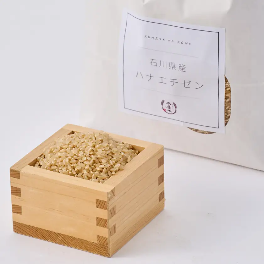 【さっぱりとした食感と甘み】石川県野々市市産ハナエチゼン 令和7年産玄米10kg(5kg×2袋)【1685205】