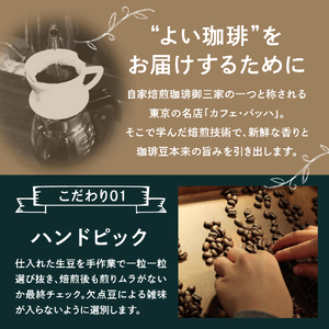 ドリップコーヒー【7通りの香り、7通りのしあわせ】7days Drip Selection(3WEEK SET) 7種類×各3袋 計21袋 自家焙煎珈琲 カフェグート