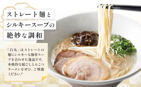 ラーメン 一風堂 白丸 ラー麦麺 12食 地域商社ふるさぽ《90日以内に出荷予定(土日祝除く)》福岡県 鞍手郡 小竹町 ラーメン とんこつ 豚骨スープ 豚骨ラーメン ラー麦 麺