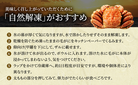 枝幸の四季 浜ゆで毛がに 約500g×1尾［枝幸海産］流氷 海明け【 カニ 蟹 毛ガニ 毛がに 毛蟹 浜ゆで 浜茹で 冷凍 北海道 オホーツク 枝幸 】 
