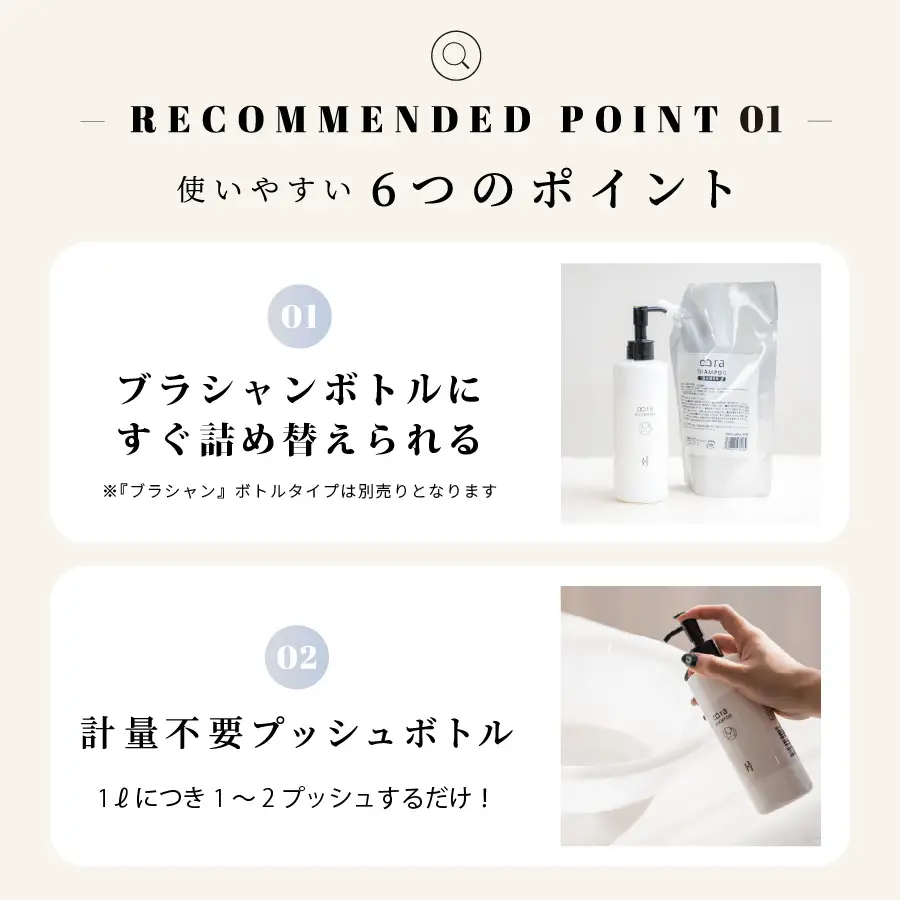【定期便　毎月お届け6か月】ブラシャン 詰め替え用 500ml