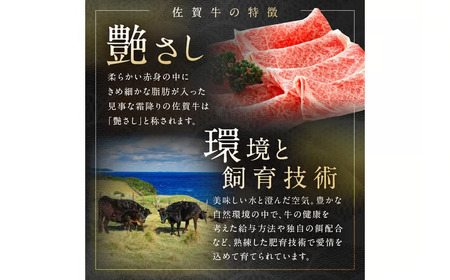 ハンバーグ 5個 佐賀牛ハンバーグ 212-J1790