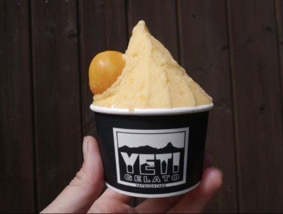 八ヶ岳の旬をお届け!!素材本来の味にこだわった 手作りジェラート(120ml×10)　ジェラート アイス 手作りジェラート ジャージー牛乳 フルーツ 旬の食材 10cup 詰め合わせ 人気 YETI GELATO バレンタイン チョコ以外 ホワイトデー お返し [h076]