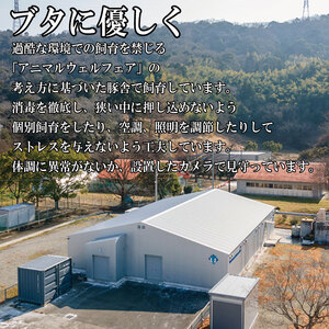 徳島大学 熟成ベーコン 400g ベーコン