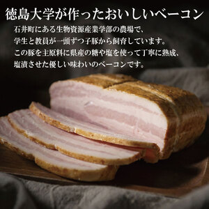 徳島大学 熟成ロースハム ベーコン セット 500g ハム