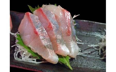 三陸産 鮮魚詰め合わせ(3～5種類程度) 新鮮 旬 鮮魚セット