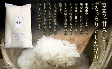 【 令和7年産 】 中央市産 コシヒカリ 5kg 米 お米 白米 精米 こしひかり 国産 山梨県産 ご飯 白飯 おにぎり