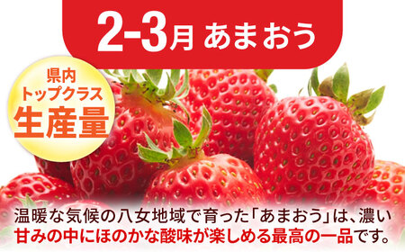 【3回定期便】フルーツ定期便（あまおう/びわ/桃） 広川町 / JAふくおか八女農産物直売所どろや[AFAB089]