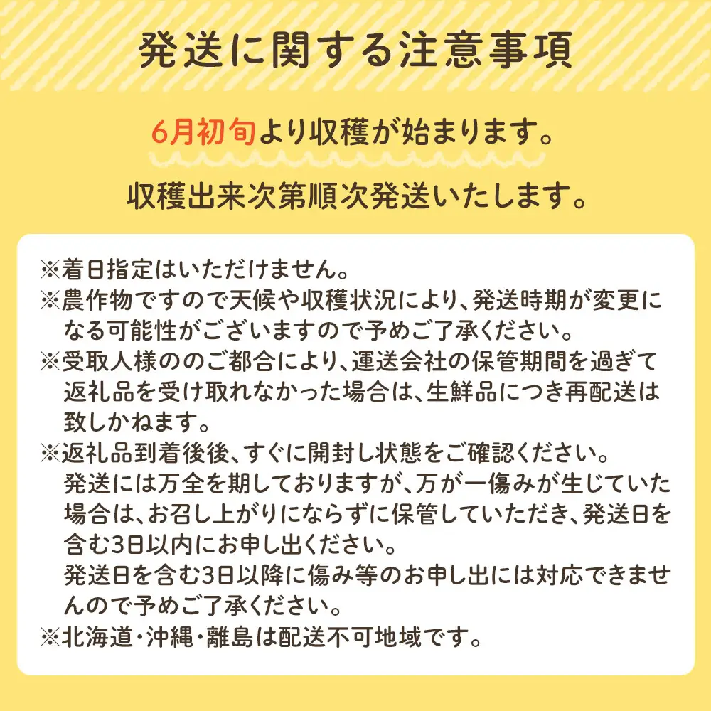 ［先行予約］しらはま農家 とうもろこし Lサイズ 12本 ［2026年6月発送予定］
