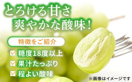 【2回定期便】シャインマスカット2回定期便 広川町 / JAふくおか八女農産物直売所どろや[AFAB092]