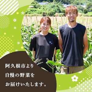 ＜先行予約受付中！2026年5月上旬以降順次発送予定＞ ヤングコーン (20本) 国産 野菜 ヤングコーン 鹿児島県産 阿久根市産 天ぷら フライ 中華炒め 肉巻き 【うとさんち】akn067-17