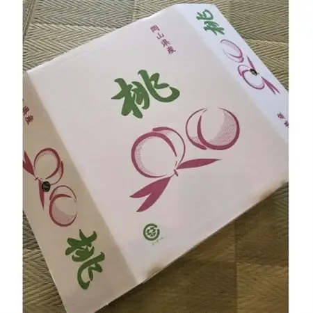 【2026年7月中旬より順次発送予定】岡山の桃　品種おまかせ『訳あり桃』　2kg箱(約6～9玉入り)【配送不可地域：離島・北海道・沖縄県】【1715289】