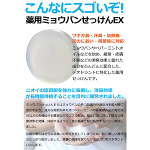 ドクターデオドラント 薬用ミョウバンせっけんEX 70g
