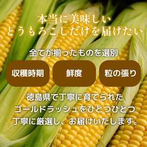 【6月下旬から7月下旬まで発送】とうもろこし ゴールドラッシュ 4kg以上 