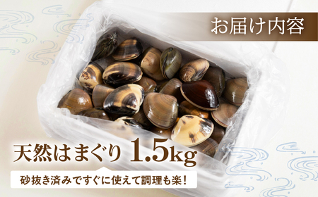 天然手掘りハマグリ 砂抜き不要 天然ハマグリ 手掘り はまぐり ハマグリ 蛤 天然 ダシ 出汁 お吸い物 酒蒸し 焼ハマグリ 魚介 海産物 国産 アサリ 愛知県 田原市 新鮮 砂抜き 海鮮 魚介類 魚介 貝 人気