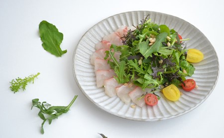 国産 ハーブ 定期便 3回 詰め合わせ 約450g 4種 8袋セット× 3ヶ月