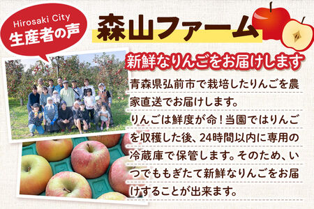 【26年11月～発送 】りんご【贈答用】森山ファーム厳選 旬の果物食べ比べセット 3kg×1箱 9種入り