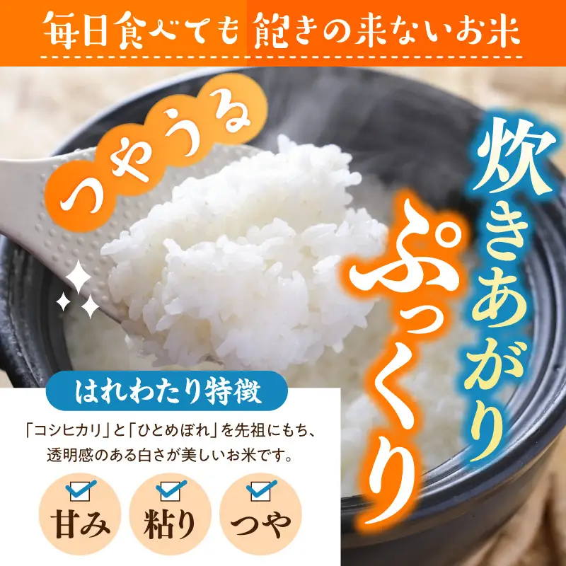 令和7年産 米 5㎏ はれわたり 青森県産 （精米）青森県 五所川原市
