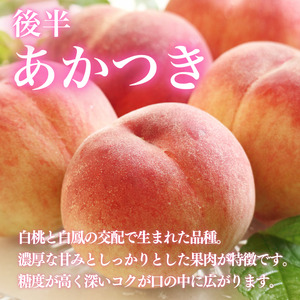 【6月下旬から7月下旬まで発送】桃 4kg 白鳳 あかつき 贈答用 国産