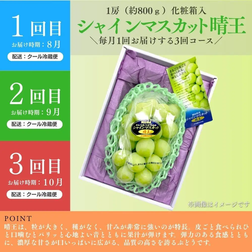 ＜定期便全3回＞ シャインマスカット晴王1房800ｇ化粧箱入  3回コース【2026年発送】[040-a012]
