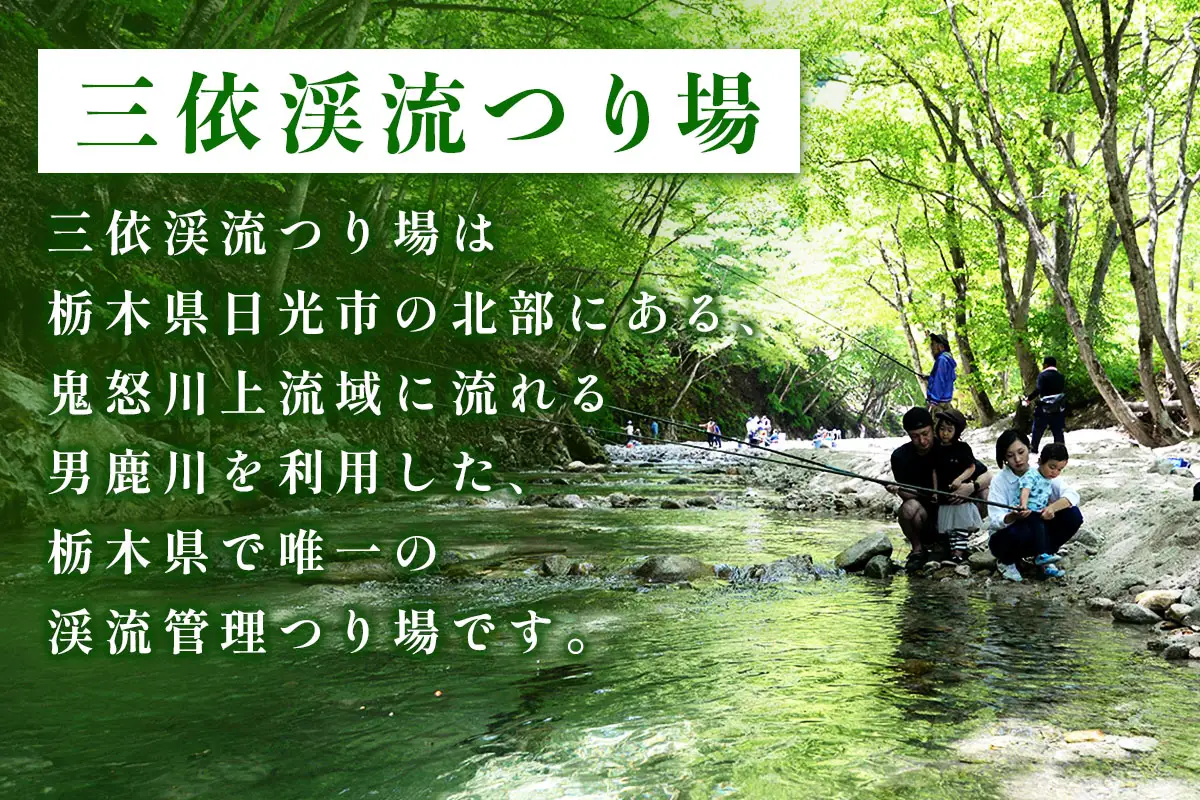 三依渓流つり場 山の恵み山菜詰合せセット [0893]