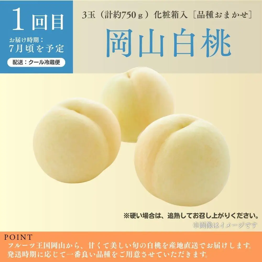 ＜定期便5回＞ 冬桃がたりの5回コース [040-a015]