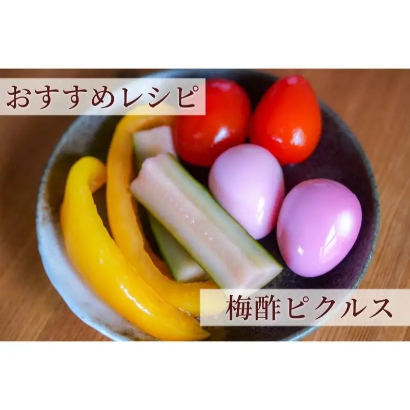 【梅ボーイズ】無添加 紀州南高梅の梅酢4本セット（白・紫蘇）天日塩使用 【umehkr023】