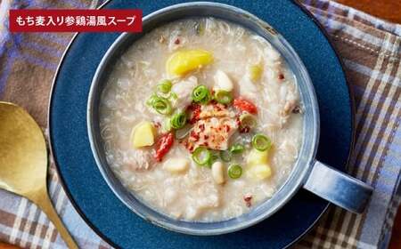 【 毎日の食事にちょい足し 】 ぶどうの樹の 「 健康応援ごはん 」 たんぱく質が摂れるシリーズ 4食セット 冷凍 おかず 簡単 時短 料理 もち麦 参鶏湯風スープ ハンバーグ 和風 シチュー 国産牛 惣菜