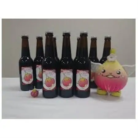【数量限定】じょうりんちゃん いちじくスタウト 12本 城陽市のイチジクを使用したクラフトビール【配送不可地域：離島】【1714238】