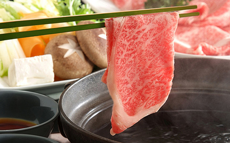 飛騨牛 もも300g・ロース300g しゃぶしゃぶ用 計600g 飛騨牛 A5等級 和牛 黒毛和牛 F4N-2664