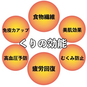 【和栗銀寄せ使用】焼いてお届けホクホク焼栗1,400g(280g×5袋)