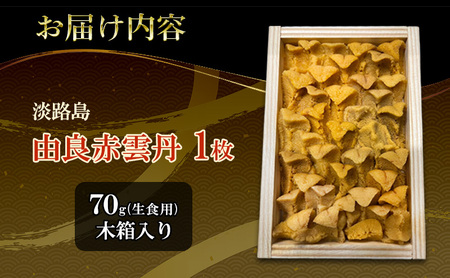 先行予約 淡路島 由良 赤雲丹 70g×1枚 ミョウバン不使用 赤うに 赤ウニ うに ウニ 雲丹 生うに 生ウニ 生雲丹 魚介 海鮮 海の幸 おつまみ つまみ ごはんのお供 酒の肴 洲本市 お届け：2026年8月初旬～9月下旬