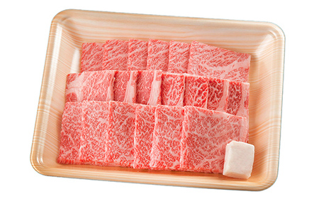 飛騨牛ロース 焼肉用 600g 飛騨牛 A5等級 和牛 黒毛和牛 F4N-2668