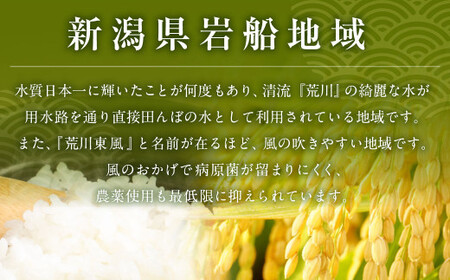 【新米受付・令和8年産米】 【定期便 6ヶ月】新潟県村上市岩船産　新之助　精米6kg（2kg×3個セット）×6ヶ月 1050015N