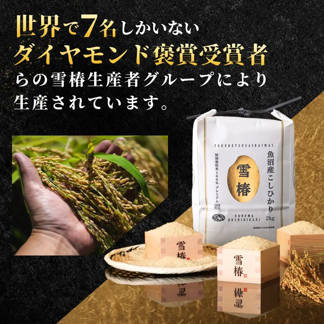 【寄付額見直し】魚沼産コシヒカリ 雪椿 5kg (5キロ×1袋) 特別栽培  | 魚沼 津南町 令和7年